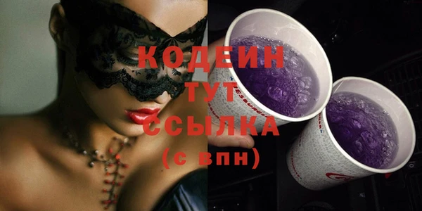 шишки Новодвинск