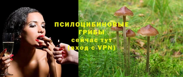 шишки Новодвинск